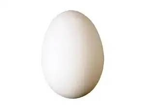 Egg