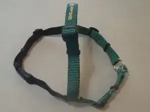 Leash & Pet Harness