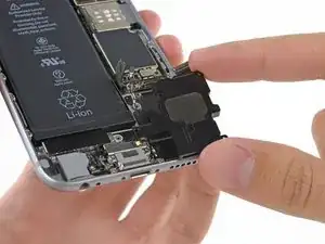 iPhone 6 Speaker Replacement