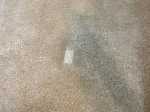 How to Fix a Carpet Dent