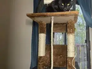 How to Refurbish Posts on a Cat Tree