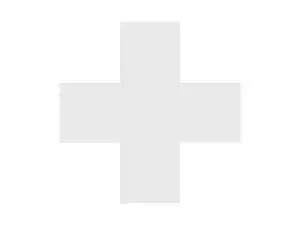 Alsius Venous Catheter