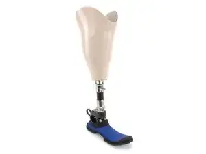 Below-Knee Prosthetics