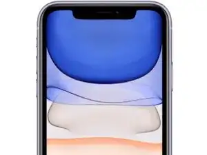 Forzare il riavvio su iPhone 11