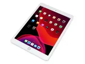 iPad 7