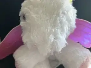 Stuffed Animal Safety Eye Replacement