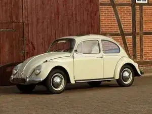 Volkswagen Maggiolino