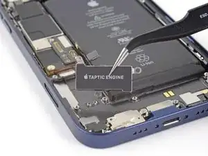 Sostituzione del Taptic Engine di iPhone 12