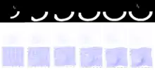 Figure showing dense image mtaching LDDMM for transporting a curved motion.