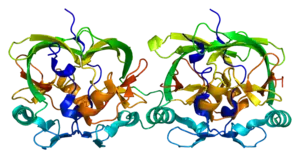 3D rendering of the AXH domain of Ataxin 1 protein