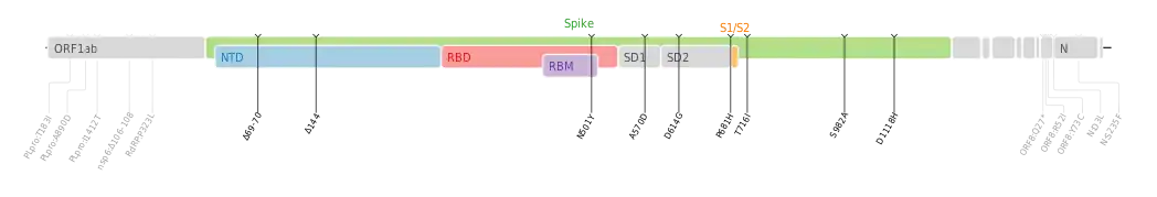 Amino acid mutations of SARS-CoV-2 Alpha variant plotted on a genome map of SARS-CoV-2 with a focus on Spike.