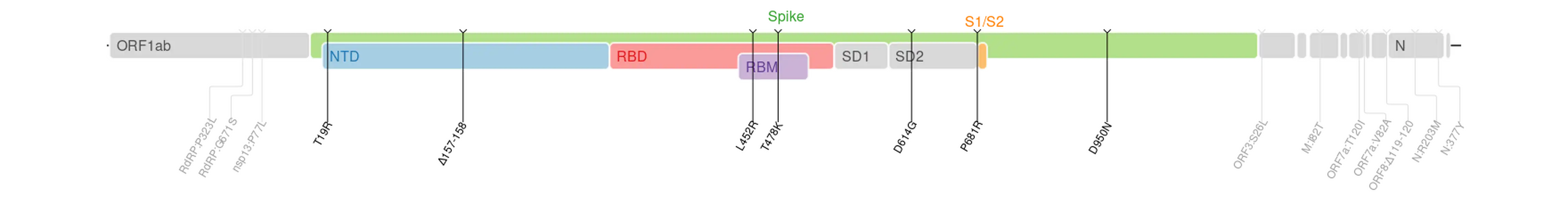 Amino acid mutations of SARS-CoV-2 Delta variant plotted on a genome map of SARS-CoV-2 with a focus on Spike.