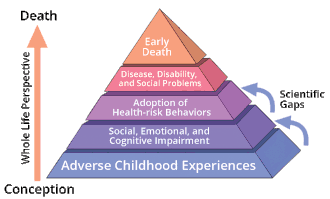 Pyramid with horizontal layers representing, in ascending order, Adverse Childhood Experiences; Social, Emotional, and Cognitive Impairment; Adoption of Health-risk Behaviors; Disease, Disability, and Social Problems; and Early Death. A vertical arrow represents the course of life beginning at the base and moving upward. Smaller arrows depict gaps in scientific knowledge about the links between Adverse Childhood Experiences and latter risk factors.