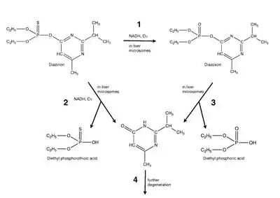 Mechanism for diazinon in vivo.