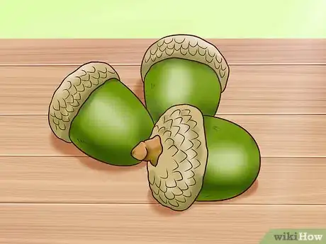 Immagine titolata Use Acorns for Food Step 1