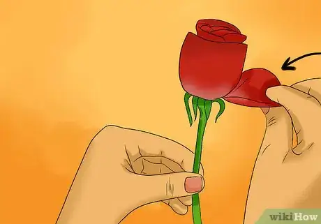 Immagine titolata Keep Rose Petals Fresh Step 6