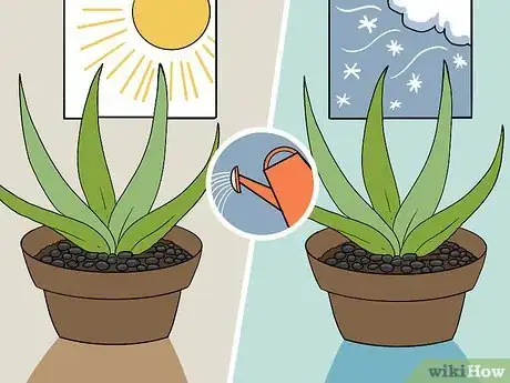 Immagine titolata Revive a Dying Aloe Vera Plant Step 8