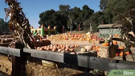 Immagine titolata Carve a Pumpkin Step 1