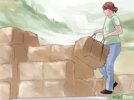 Immagine titolata Bale Hay Step 11