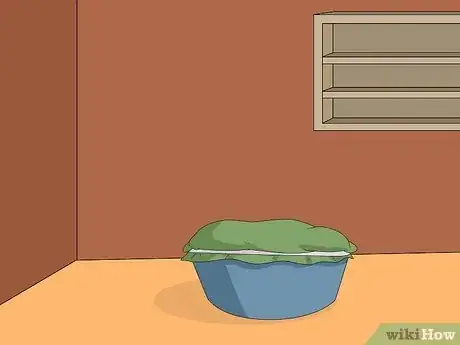 Immagine titolata Make Fermented Plant Juice (Organic Fertilizer) Step 4