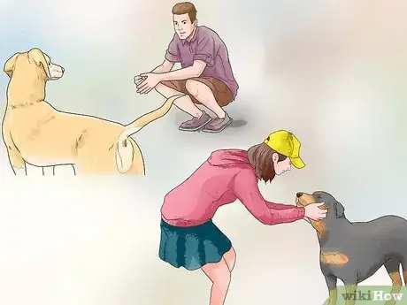 Immagine titolata Stop Aggressive Behavior in Dogs Step 9