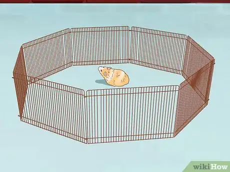 Immagine titolata Care for Syrian Hamsters Step 16