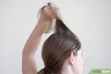 Immagine titolata Tease Your Hair Step 2