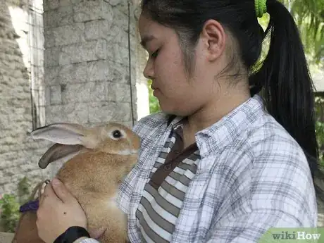 Immagine titolata Communicate with Animals Step 4