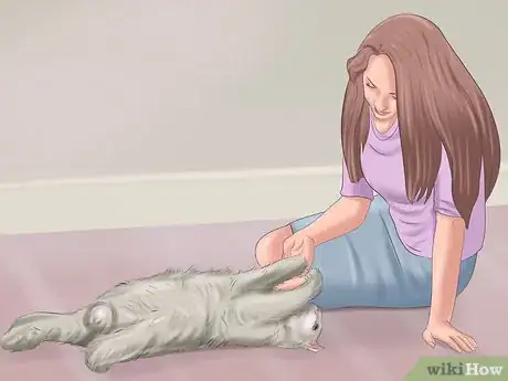 Immagine titolata Have Fun with Your Cat Step 15