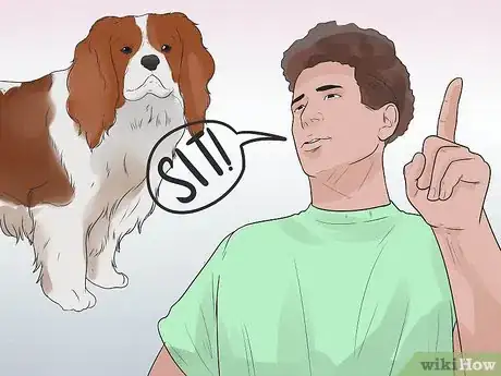 Immagine titolata Train Cavalier King Charles Spaniels Step 13