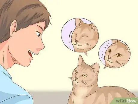 Immagine titolata Communicate with Your Cat Step 2