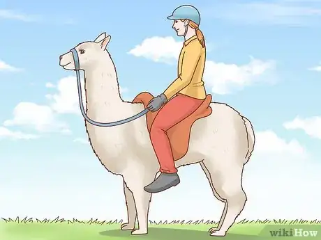 Immagine titolata Ride a Llama Step 3