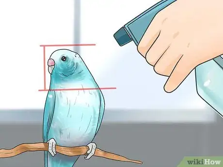 Immagine titolata Give Your Budgie a Bath Step 4