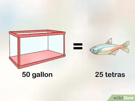 Immagine titolata Breed Neon Tetras Step 13