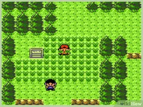 Immagine titolata Raise Friendship Level in the Pokémon Games Step 45