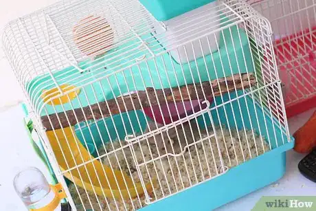 Immagine titolata Treat Your Sick Hamster Step 3Bullet3