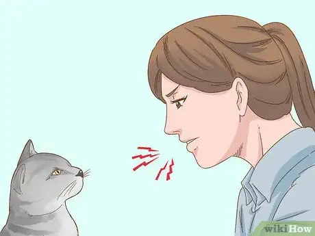 Immagine titolata Communicate with Your Cat Step 7