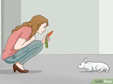 Immagine titolata Teach Your Rabbit to Come when Called Step 8