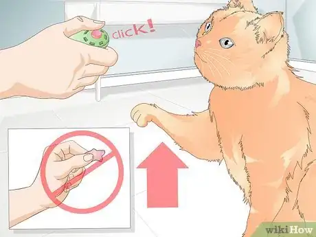 Immagine titolata Teach Your Cat to Give a Handshake Step 14