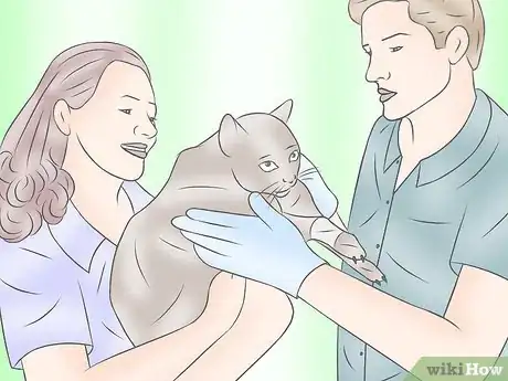 Immagine titolata Become a Veterinary Technician Step 2