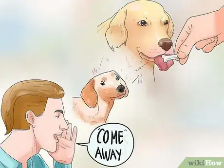 Immagine titolata Stop Aggressive Behavior in Dogs Step 7