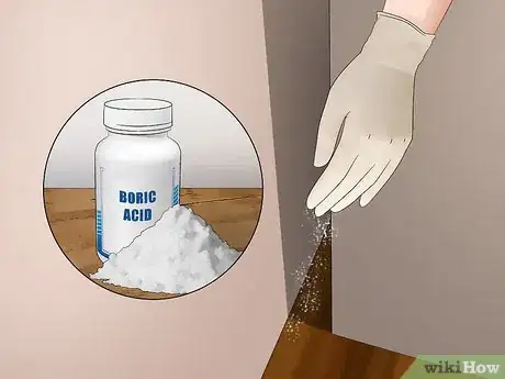 Immagine titolata Get Rid of Earwigs Step 3