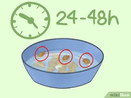 Immagine titolata Germinate Tree Seeds Step 7