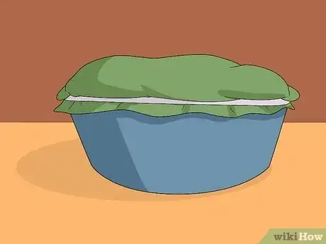 Immagine titolata Make Fermented Plant Juice (Organic Fertilizer) Step 3