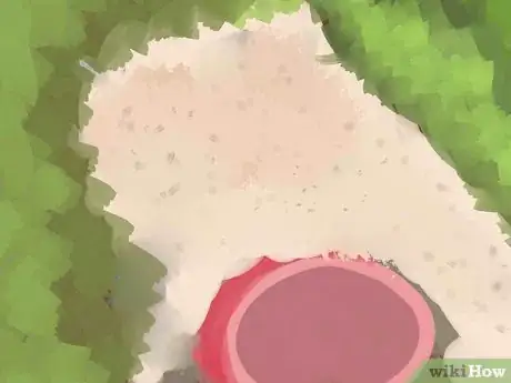 Immagine titolata Fix Poor Soil Drainage Step 5