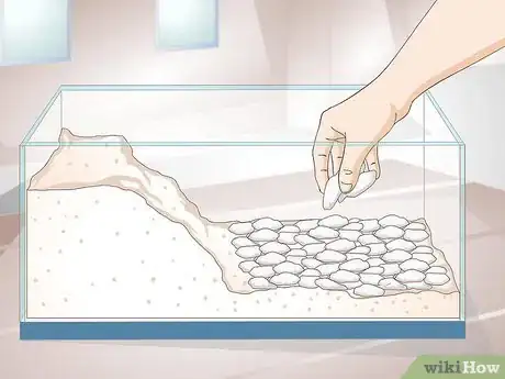 Immagine titolata Care for Salamanders Step 4