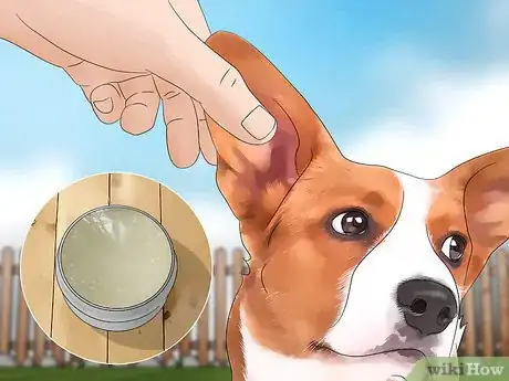 Immagine titolata Keep Flies Off Dogs Step 9