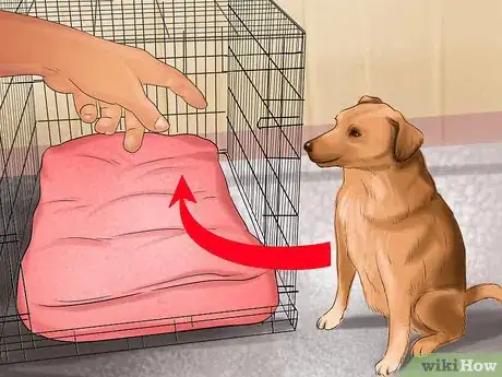 Immagine titolata Crate Train Your Dog or Puppy Step 18