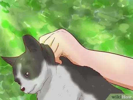 Immagine titolata Get a Cat out of a Tree Step 15