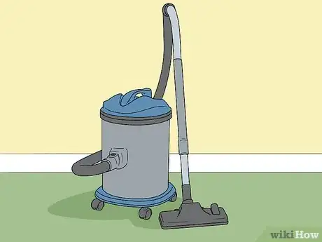 Immagine titolata Do Pest Control With a Vacuum Cleaner Step 1